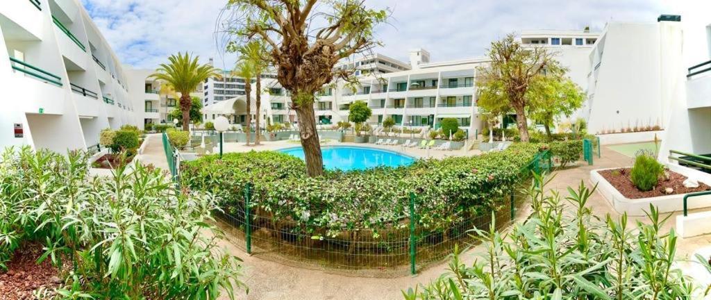 Optimist Playa De Las Americas Διαμέρισμα Εξωτερικό φωτογραφία